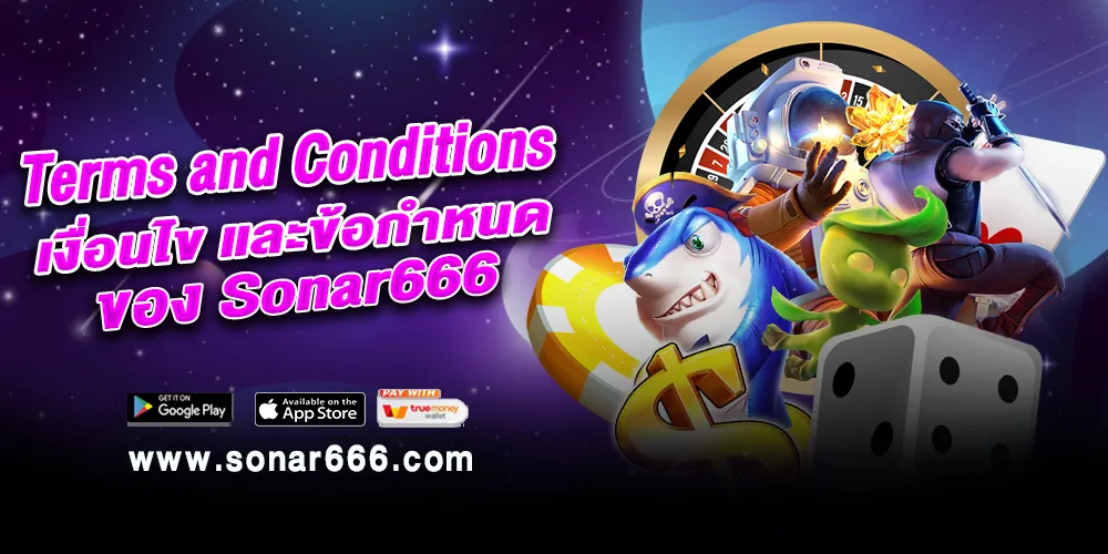 Terms and Conditions